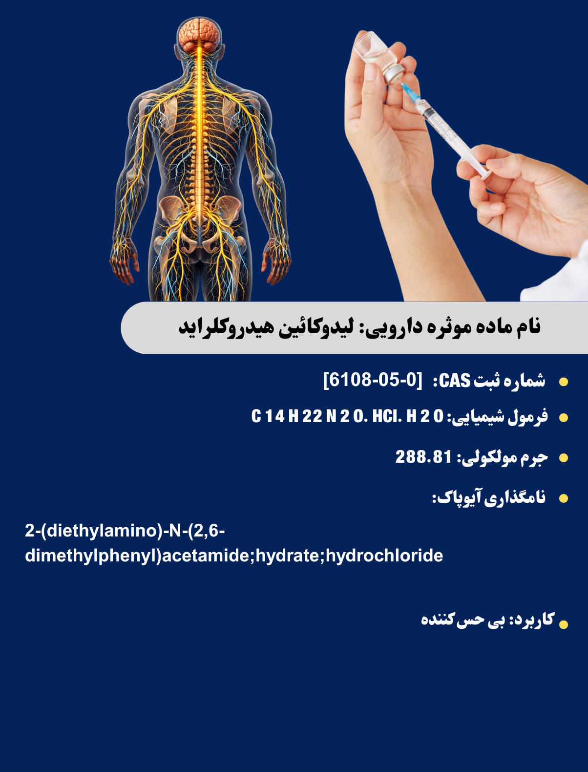 https://www.alborzbulk.com/uploads/product/lidocain hiyd/lidocaion hiy1.png